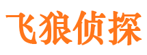 济阳市侦探调查公司